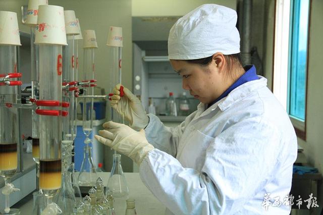 几乎在一夜之间，青蒿素，这个原本似乎只出现在医学界的名词，随着屠呦呦获得诺贝尔生理学或医学奖，成了热词。