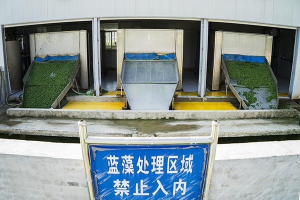 无锡半城弥漫恶臭味 官方：正检测是否有毒害