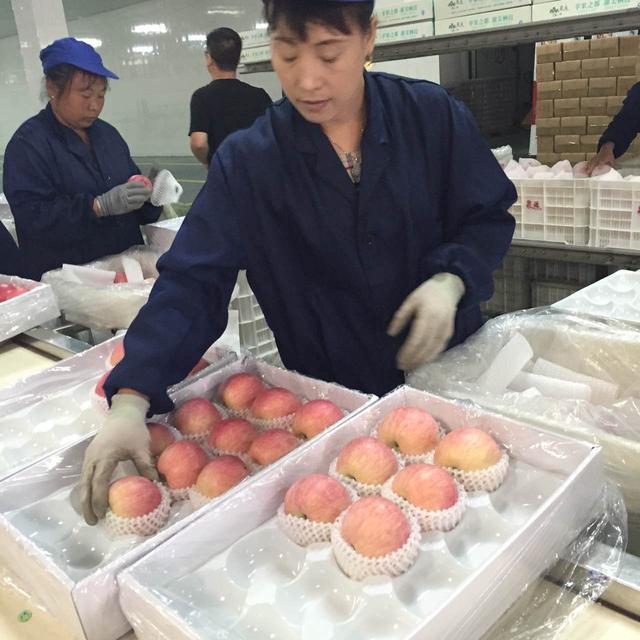 第十四届栖霞苹果艺术节开幕