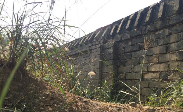 湖南被学生劫杀教师执教30余年 月薪两三千