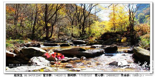 nEO_IMG_IMG_0032_conew1