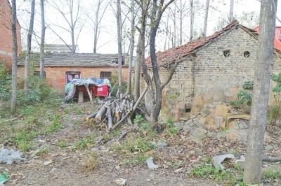 揭抢银行变亿万富翁劫匪：有4个女人12个孩子