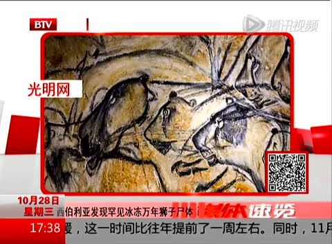 西伯利亚发现罕见冰冻万年狮子尸体截图