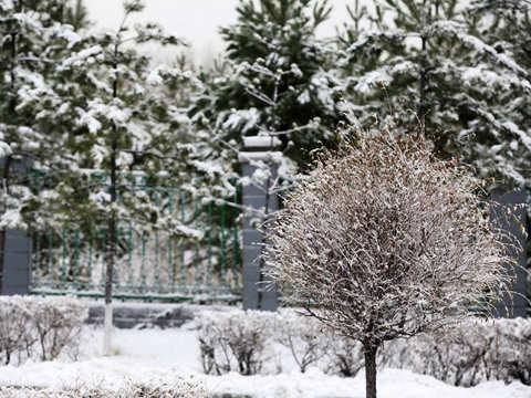 西北多地将迎下半年首场雪 南方大部降水持续