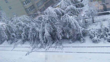 北京今日迎初雪较往年更早 局地甚至有暴雪