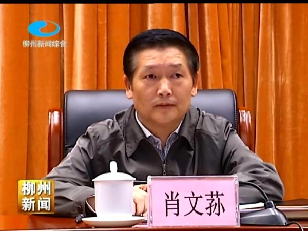 广西柳州市长肖文荪落水死亡