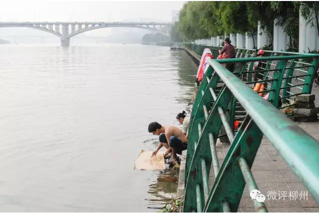 媒体称柳州市长落水前心神不宁 催促回柳州