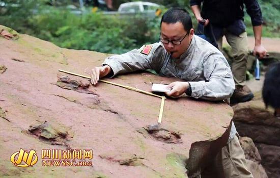 专家组在桂花乡考察最新发现的恐龙脚印