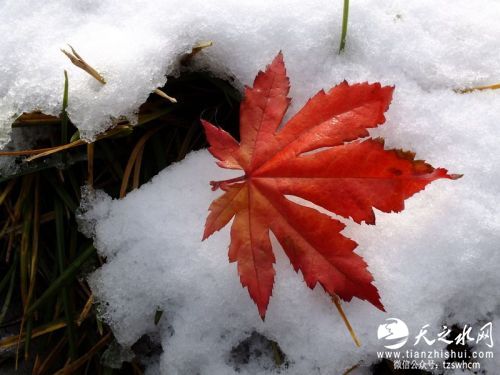 userid323489time20111111214534