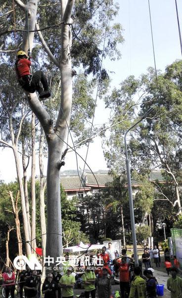 台媒称厦门大学开爬树课：队员多次出境参赛