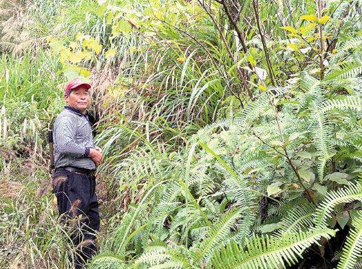 永康山里惊现华南虎？记者实地探寻虎踪
