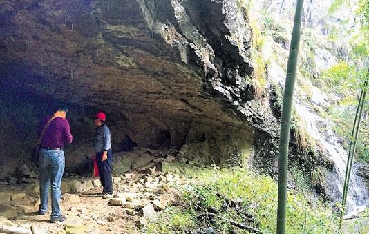 永康山里惊现华南虎？记者实地探寻虎踪