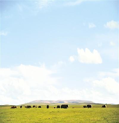 中国科学院青藏高原所11月18日发布了由中外科学家合作研究后撰写的第一份对西藏高原进行全面科学评估的报告。