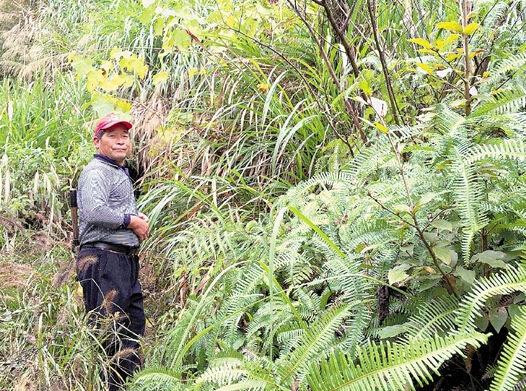 曝浙江永康山中有老虎 记者探寻发现或为金钱豹