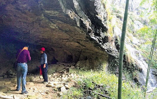 曝浙江永康山中有老虎 记者探寻发现或为金钱豹