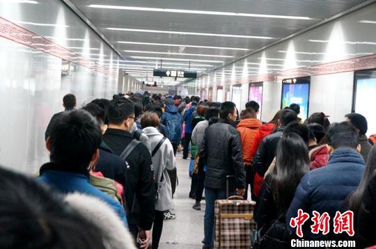 排队长龙。 王中举 摄