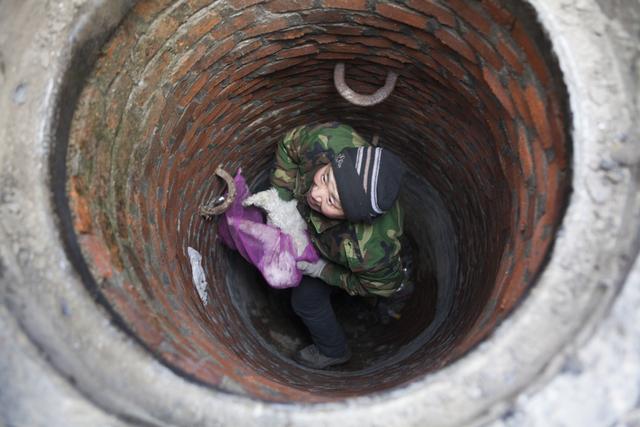 长春一小狗掉进水井 市民合力掘开井盖救出