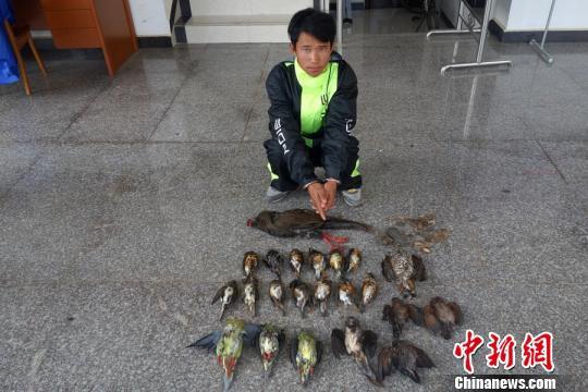 西双版纳男子赶集高价贩卖野生动物被便衣森警擒获