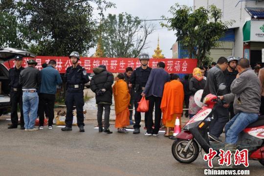 图为森林公安民警开展法制宣传 谭一鸣 摄