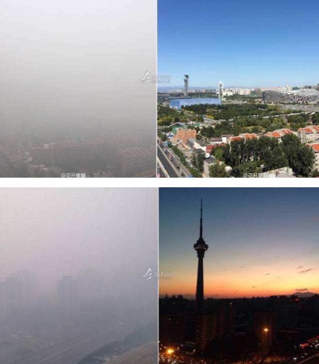 没发红色预警 究竟是在等市长，还是在等风？