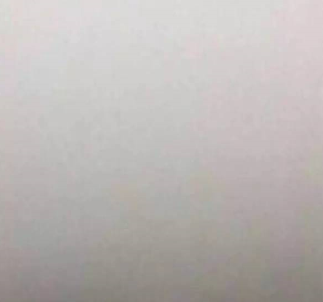 没发红色预警 究竟是在等市长，还是在等风？