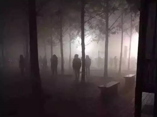 没发红色预警 究竟是在等市长，还是在等风？