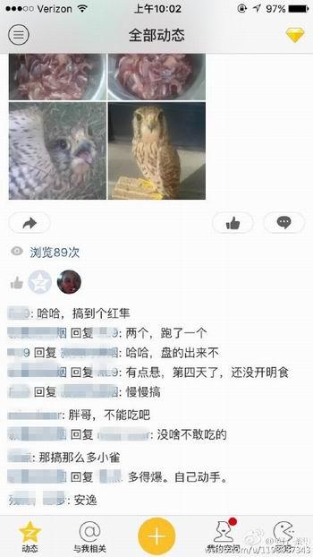 四川大熊猫饲养员被曝贩卖鹰隼 官方回应(图)