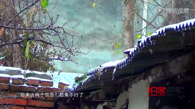 农妇为夫报仇追凶17年 揭秘追凶全过程截图