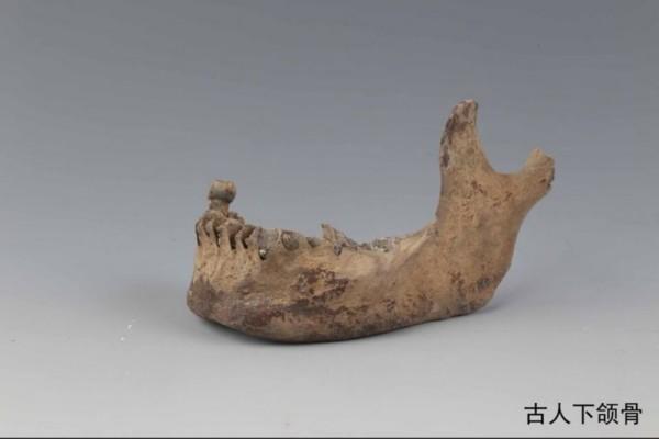 浙江村民发现6500年前陶片 刻有神秘微笑