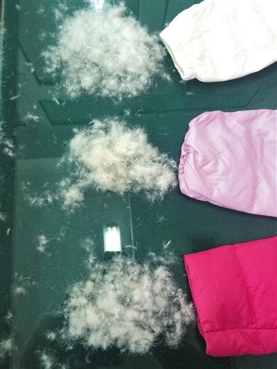 部分超低价羽绒服填充物无羽绒 飞丝含有细菌