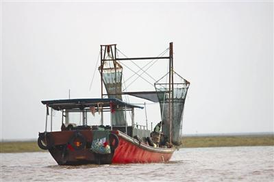 江西鄱阳湖现非法捕捞船队 网眼密集像蚊帐 