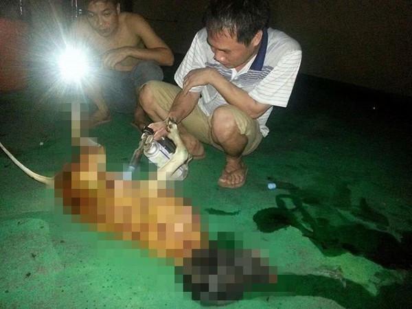 图为2014年发生的在台越南劳工杀狗吃肉事件图片。