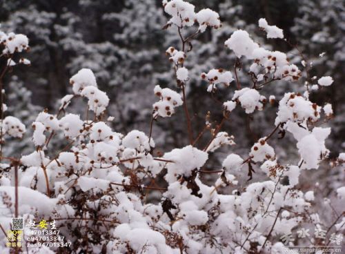 39359_201501051135253b7SE