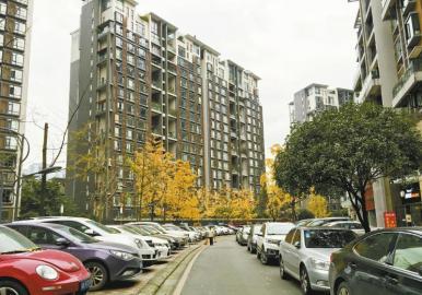 成都现50万元“最贵车位” 开发商:市场定价