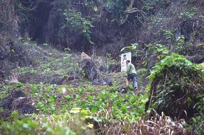 云南民间“排雷专家”11年扫雷数千颗 造百亩田