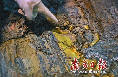 海昏侯墓棺内发现多块金板 或提供墓主重要信息