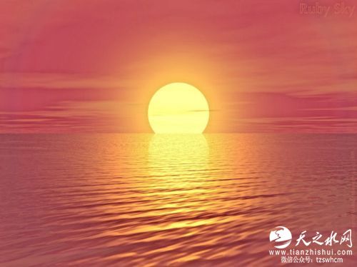 81625654gx6Dagt6vQRe9&690