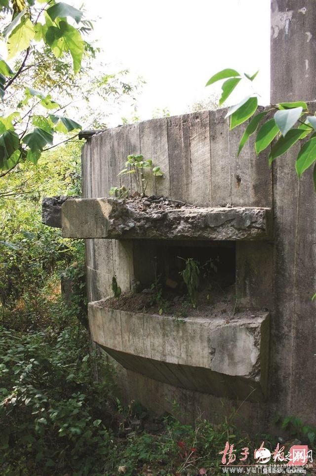 南京民国碉堡被漆迷彩 “粉刷匠”学校称系保护