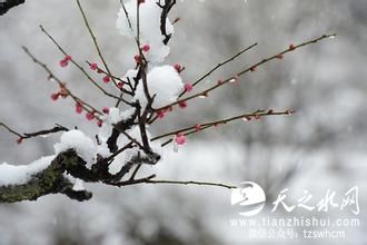 u=3405885452,515742602&fm=21&gp=0