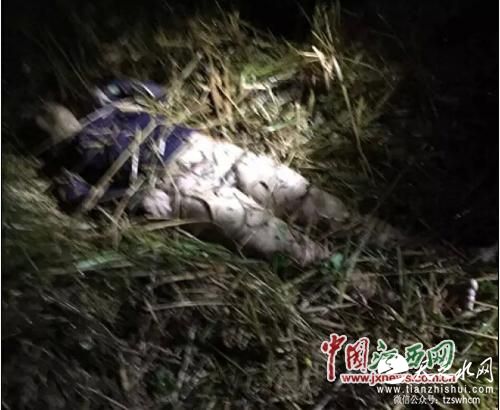 现场图（网友提供）