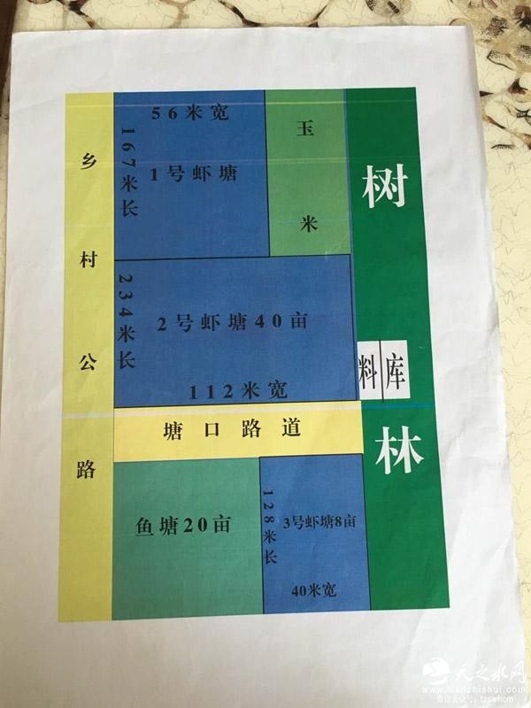 林业局给树打防虫药 次日附近虾塘“全军覆没”