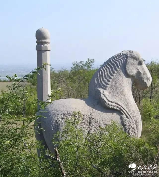 陕西回应唐陵石人石马被清洗破坏：未安排过清理