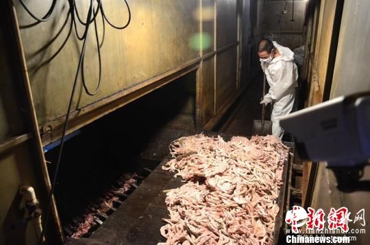 湖南销毁180余吨来源不明冻肉 货值600余万元