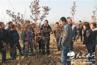 陕西20名职业农民被录取上大学 平均年龄近38岁