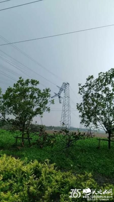 江苏阜宁县多乡镇遭遇恶劣天气 树木被拦腰折断