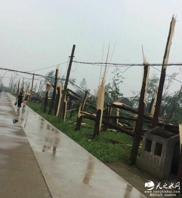 江苏阜宁射阳等地突遭12级大风冰雹袭击 