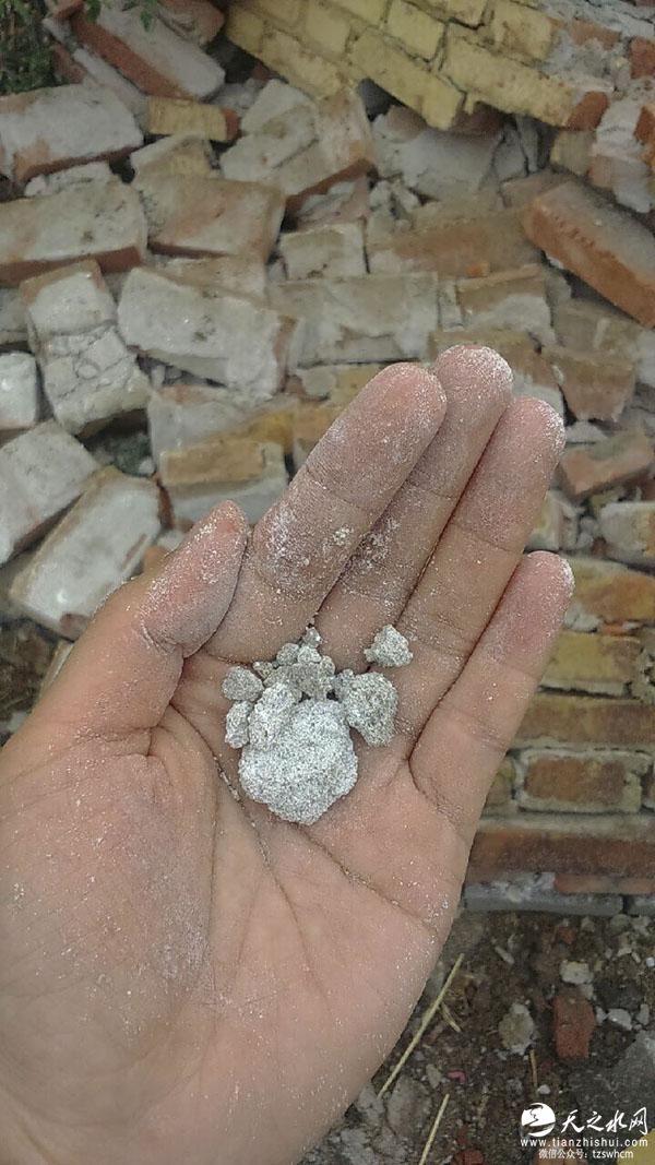 一中学围墙坍塌3名女生被埋死亡 官方：被大风砍倒