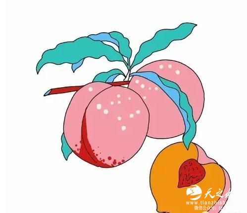 新华社“一带一路全球行”：丝绸之路方巾设计