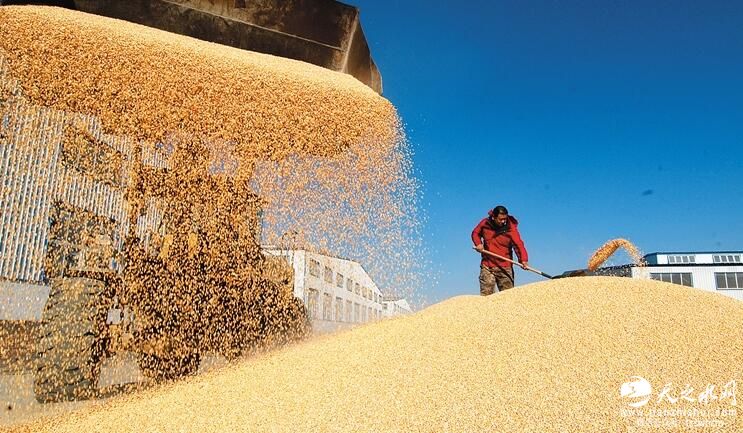 由国家对粮食买卖进行兜底，会让农民失去对市场风险的判断