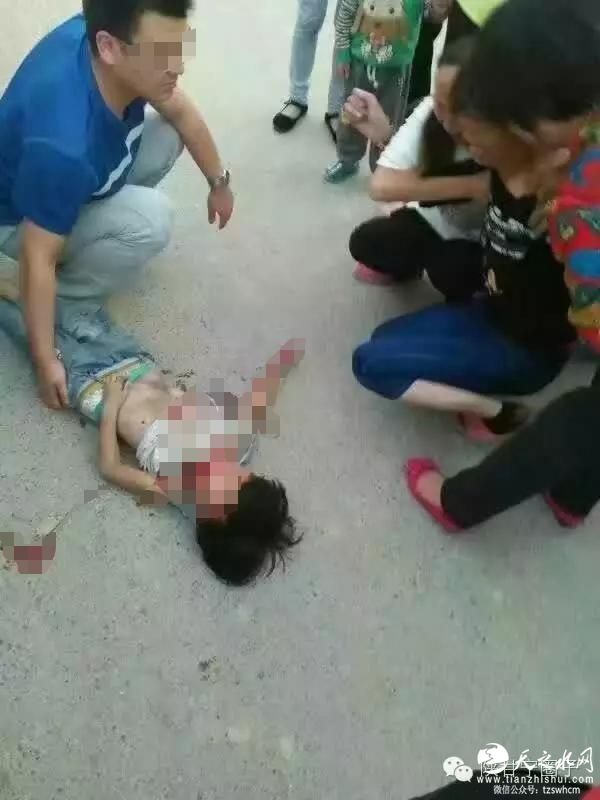 甘肃一警车处置事故途中撞死女孩 驾驶员被控制